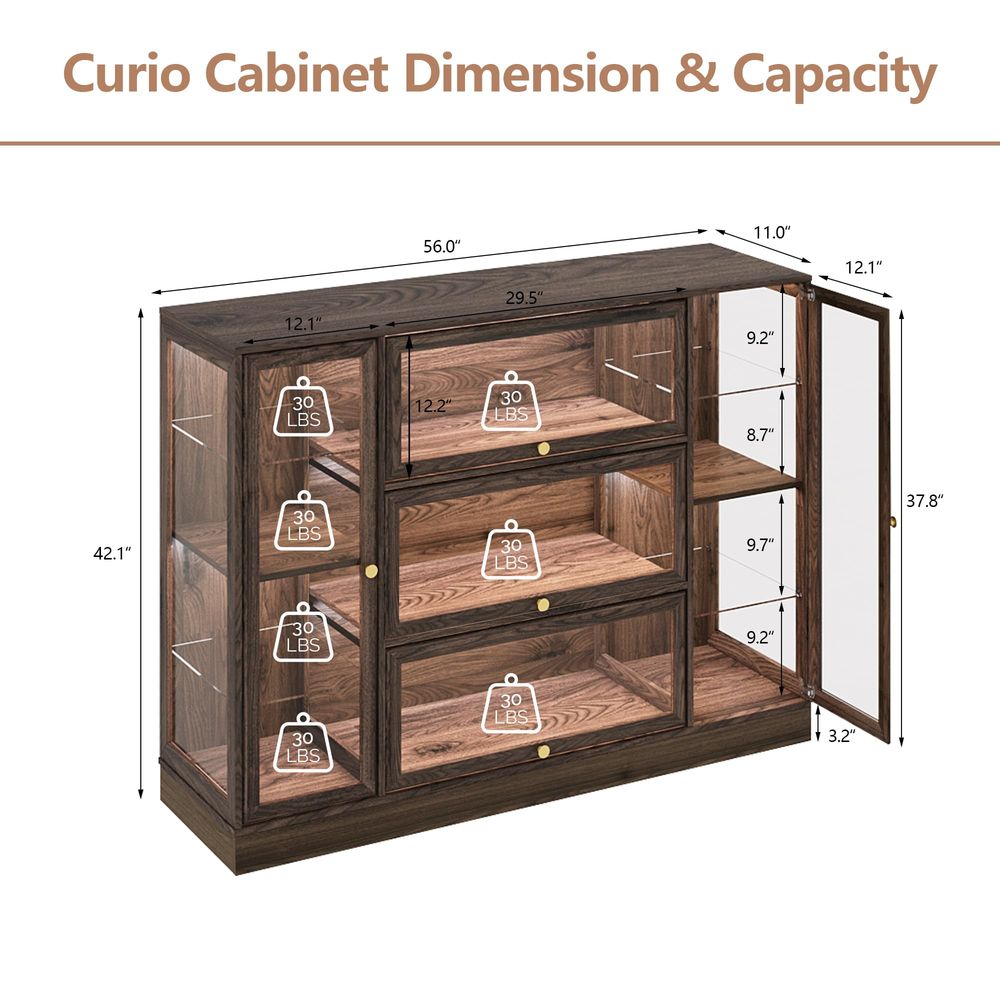Cabinet with Acrylic Glass Doo - Collectible Collection ulasan dan harga