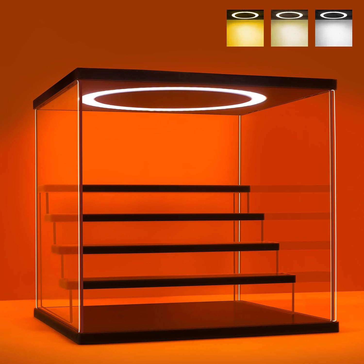 Acrylic Display Case with Adju - Collectible Collection ulasan dan harga
